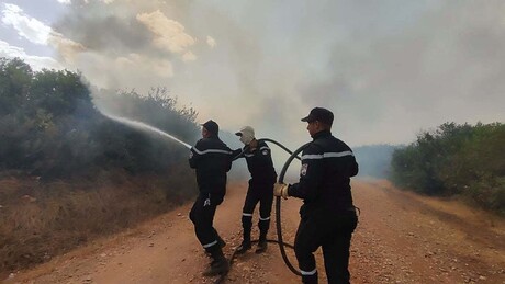 Presidente da Argélia pede pena de morte para quem provocar incêndios florestais