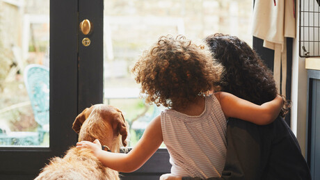'Pais de pet': o que a ciência sabe sobre quem trata cão como filho?