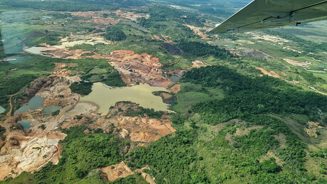 Reino Unido investe em fundo de preservação florestal do Brasil, mas diz querer 'retorno'