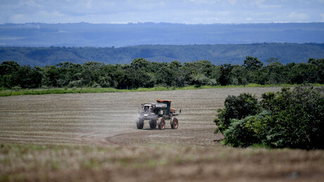 Brasil pode ultrapassar os EUA e se tornar maior exportador agrícola do mundo