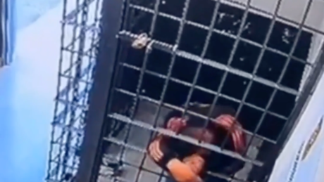 VÍDEO: Preso se espreme entre as grades e foge de cela em menos de um minuto em Florianópolis