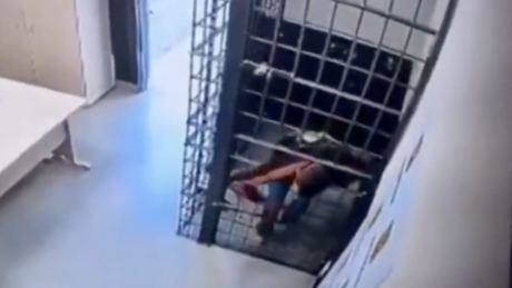 VÍDEO: Homem consegue passar pelo vão das grades e foge de cela em Florianópolis