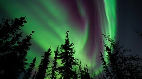 VÍDEO: Veja as imagens deslumbrantes de aurora boreal dançando no céu do Canadá