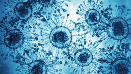 Cientistas descobriram mais de 10 mil novos vírus em área do Pacífico
