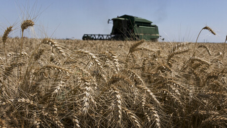 Aliados da Ucrânia se recusam a servir de corredor de exportação para produtos agrícolas