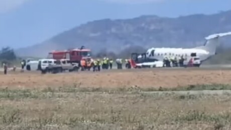 VÍDEO: Avião faz pouso de emergência após atingir zebra durante decolagem na Tanzânia