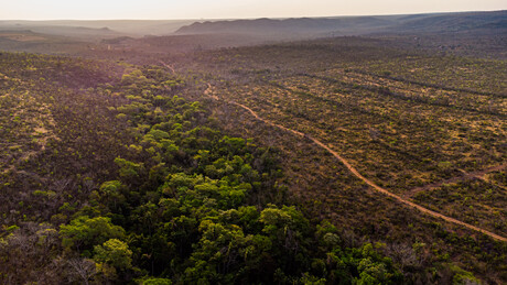 Cerrado perde, em áreas próximas a rios, vegetação do tamanho do Amapá