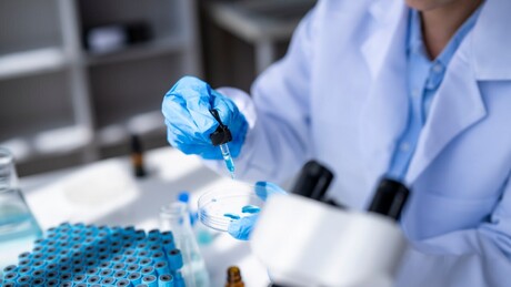 Avanço inédito brasileiro: Anvisa libera testes da primeira vacina do mundo contra malária vivax