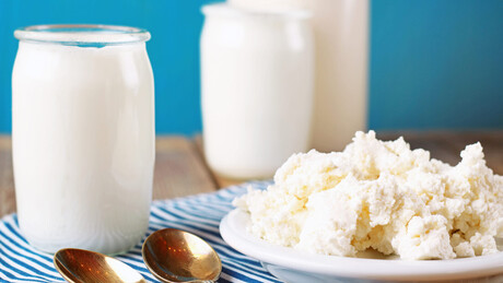 Alimentos fermentados podem oferecer um benefício inesperado além da saúde intestinal