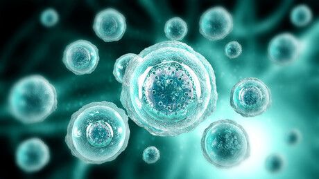 Cientistas descobrem como ativar defesas antivirais do corpo