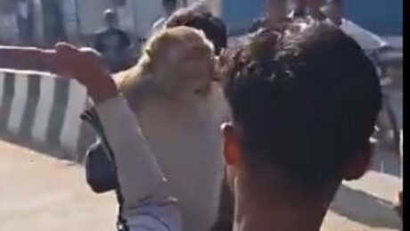 IMAGENS FORTES: Acusado de atacar mais de 10 pessoas, macaco é capturado e leva surra da população na Índia
