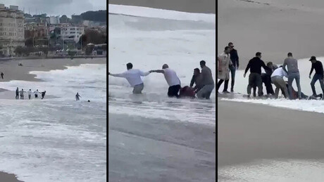 VÍDEO: Corrente humana salva mulher arrastada por onda em praia da Espanha