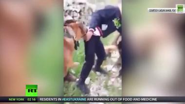Israelische Soldaten setzen Hunde gegen palästinensischen Jungen ein