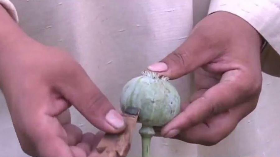 Ex-Blackwater und der ominöse "Kampf" gegen den Opiumanbau in Afghanistan