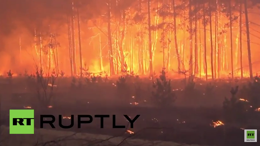 Laut Ukraine kein Grund zur Panik - "Waldbrand in Sperrzone von Tschernobyl unter Kontrolle gebracht"