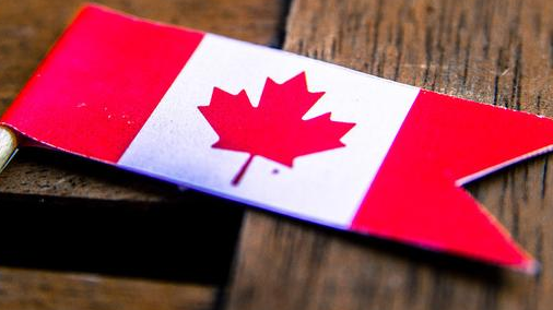 Lex 1984 in Kanada: Neues Anti-Terror-Gesetz verbietet de facto jegliche Kritik an Regierung