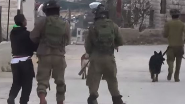 UNO-Einrichtungen erheben schwere Vorwürfe gegen israelische Sicherheitskräfte