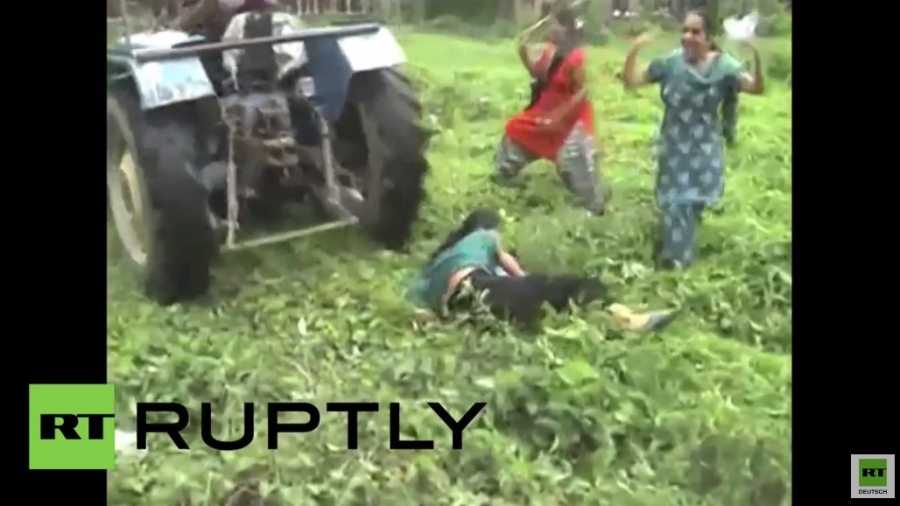 Indien: Grundstücksstreit eskaliert – Frau fährt mit Traktor Amok