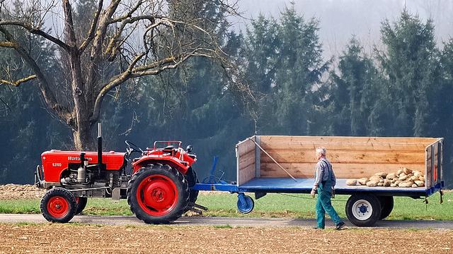 Russland-Sanktionen und Dürre - Lage deutscher Landwirte "mehr als angespannt"