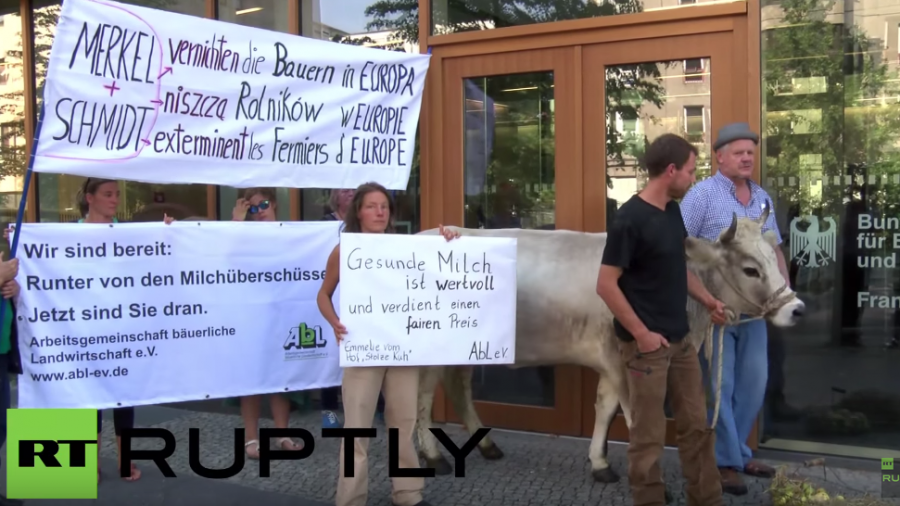 Landwirte protestieren in Berlin – "Merkel und Schmidt vernichten Bauern in Europa"