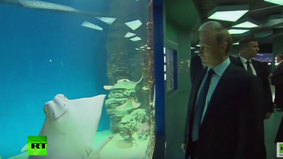 Moskau: Putin besucht Europas neues und größtes „Mehrzweck-Aquarium“