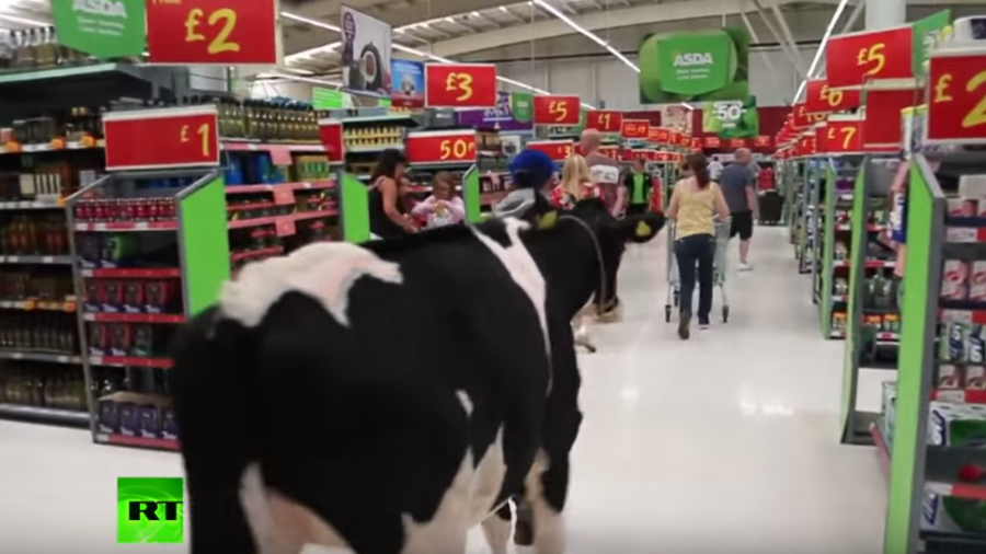 Auch in England Protestwelle der Landwirte: Demonstranten bringen Kühe mit in Supermarkt