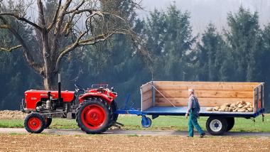 Russland-Sanktionen und Dürre - Lage deutscher Landwirte "mehr als angespannt"