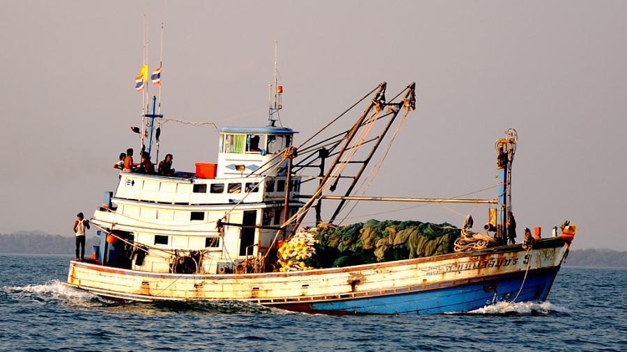 Globale Ausbeutung: Nestlé wegen Fischverwertung aus Sklavenarbeit angeklagt