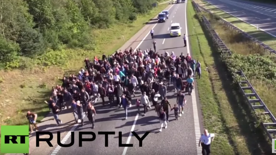 Flüchtlingschaos an der dänischen Grenze: Zu Fuß über die Autobahn Richtung Schweden