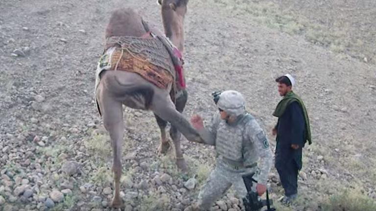 US-Soldat in Afghanistan nähert sich Kamel - Doch dies zeigt sich von seiner anti-imperialistischen Seite