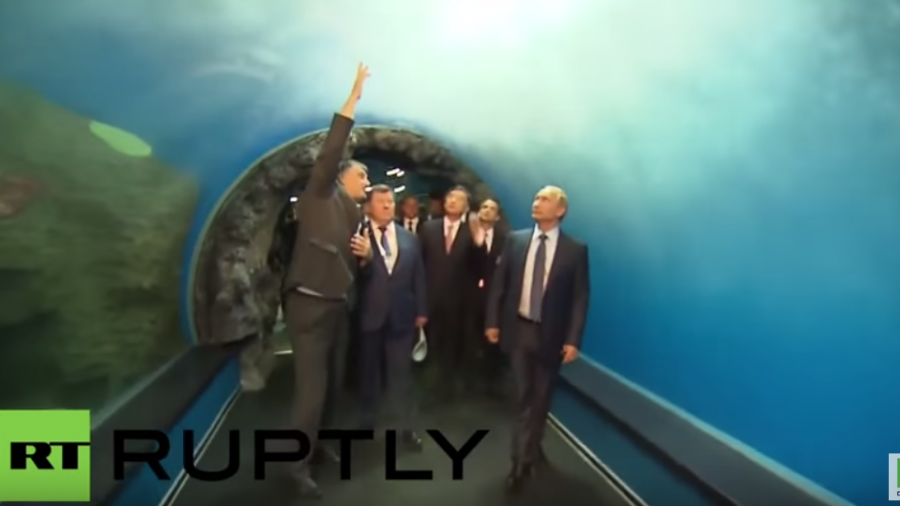 Russland: Putin besichtigt neues Ozeanarium in Wladiwostok