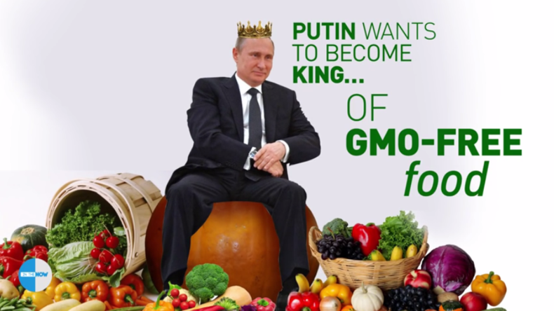 GMO-Verbot in Russland rentiert sich: Putin will Weltmarkt mit "sauberer Nahrung" versorgen