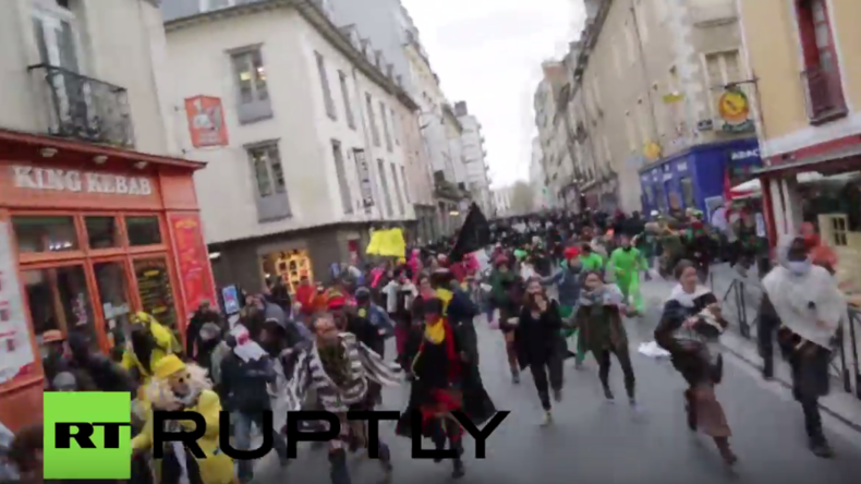 Heftige Zusammenstöße bei Karnevalsmarsch gegen neuen Flughafen in Frankreich