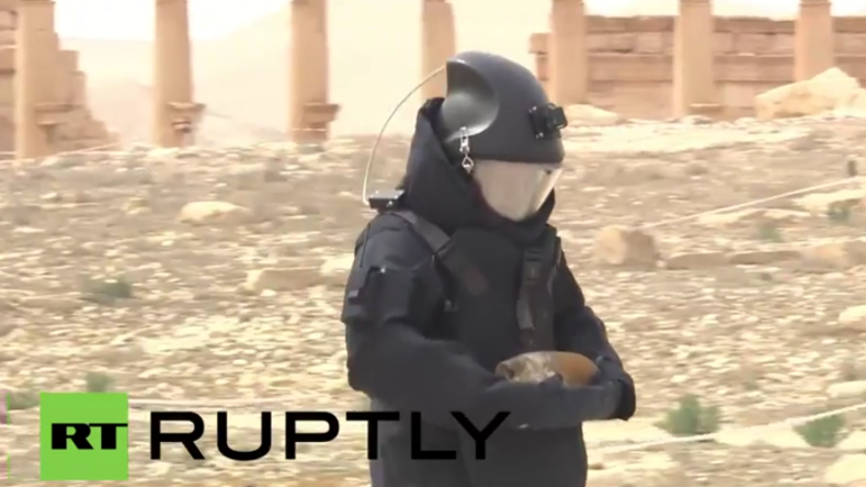 Minenentschärfungs-Kommando in den Ruinen Palmyras – Schon über 1500 Sprengsätze unschädlich gemacht