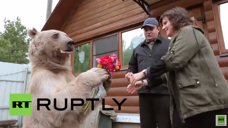 "Eine ganz normale russische Familie" - RT zu Besuch beim russischen Adoptivbären Stepan