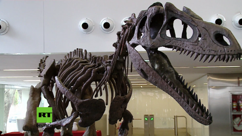 Als verschollen gegoltener Dinosaurier-Fund neuer Spezies in Argentinien enthüllt 