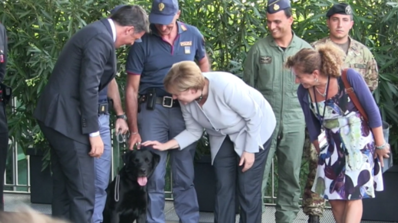 Nach Eklat mit Putins Hund - Merkel plötzlich von Hundephobie befreit?
