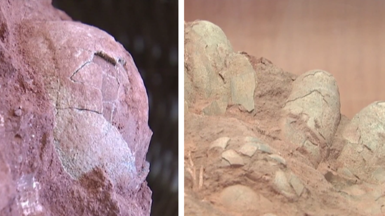 Dinosaurier-Eier in China entdeckt.