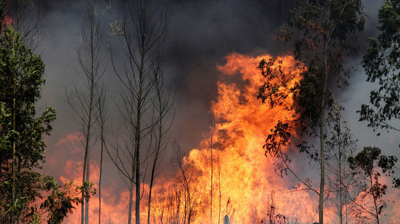 Dutzende Menschen fallen Waldbränden in Portugal zum Opfer