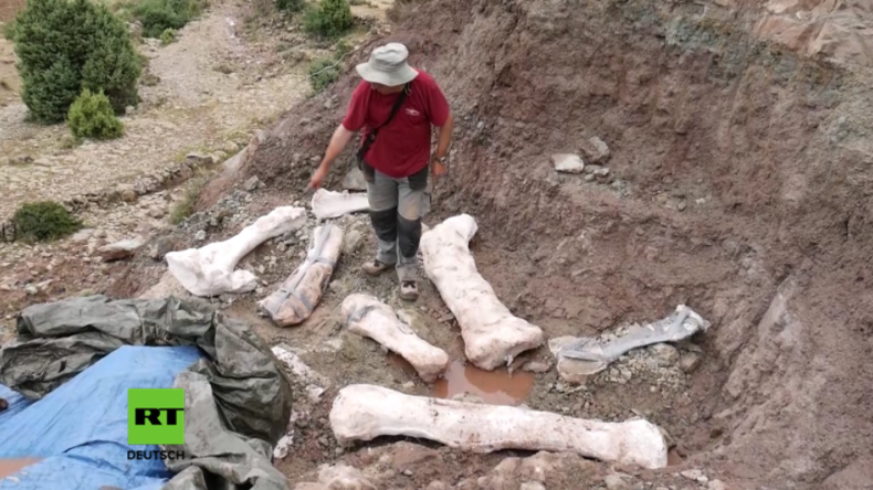 "In einem Land vor unserer Zeit": Forscher finden riesige Knochen der berühmten Langhals-Dinosaurier