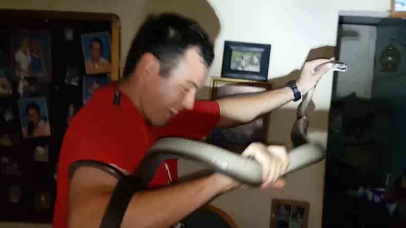 Mann entdeckt "tödlichste Schlange der Welt" in seinem Haus