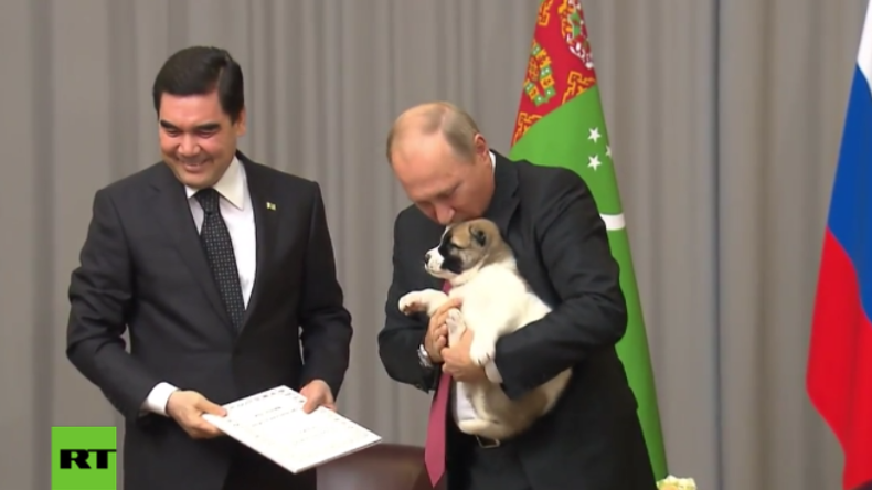 Putin bekommt weiteren Hundewelpen geschenkt - diesmal aus Turkmenistan 