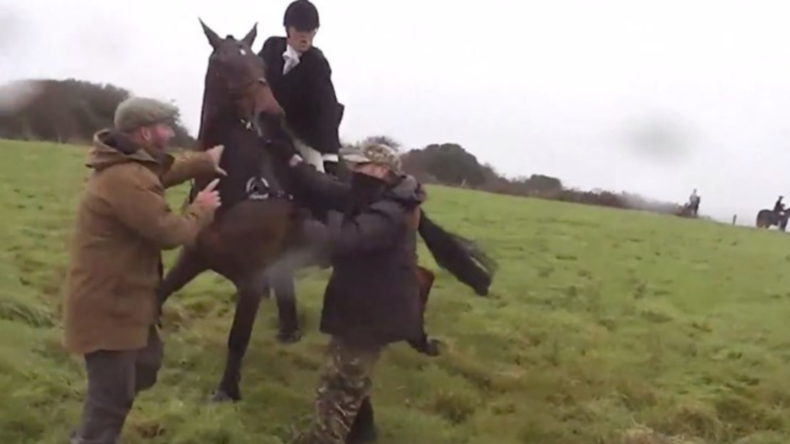 "Tatsch mein Pferd nicht an!" - Reiterin vermöbelt Tierschützer mit Peitsche