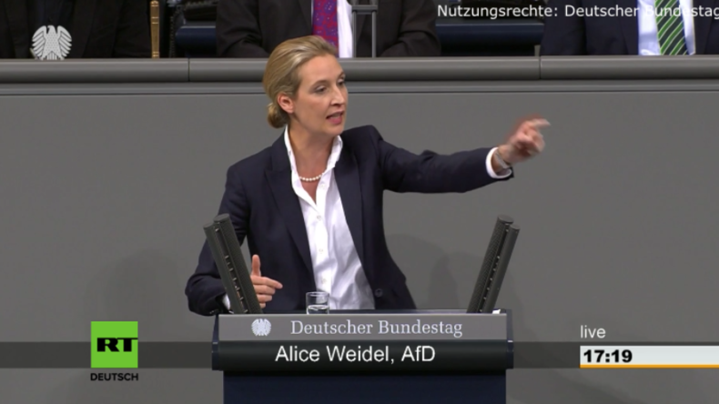 AfD-Fraktionschefin Weidel im Bundestag: "Mit der Euro-Rettung enteignen Sie die Deutschen"