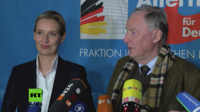 AfD nach Treffen mit Steinmeier: "Wir werden eine Merkel-Regierung nicht tolerieren"