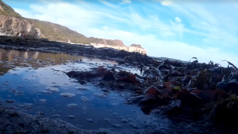 Kamera überquert Ärmelkanal und Nordsee, um wieder bei Besitzer zu landen