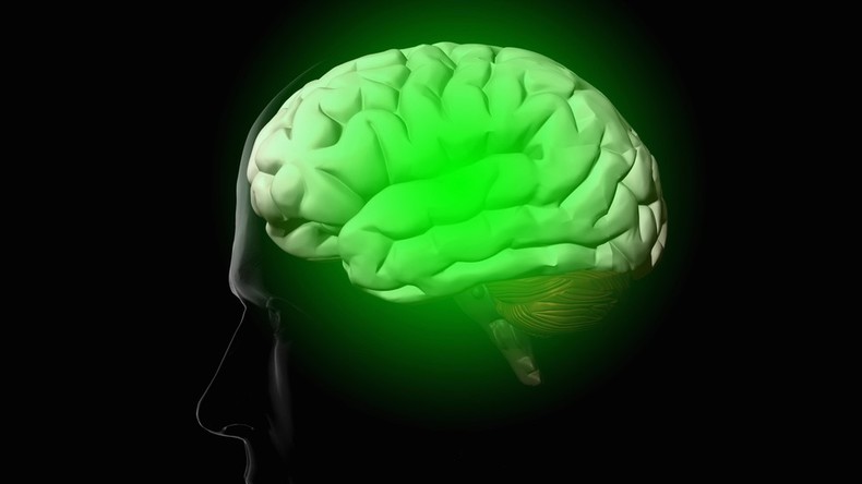 Wissenschaftler entdecken WLAN-artigen Mechanismus im menschlichen Gehirn