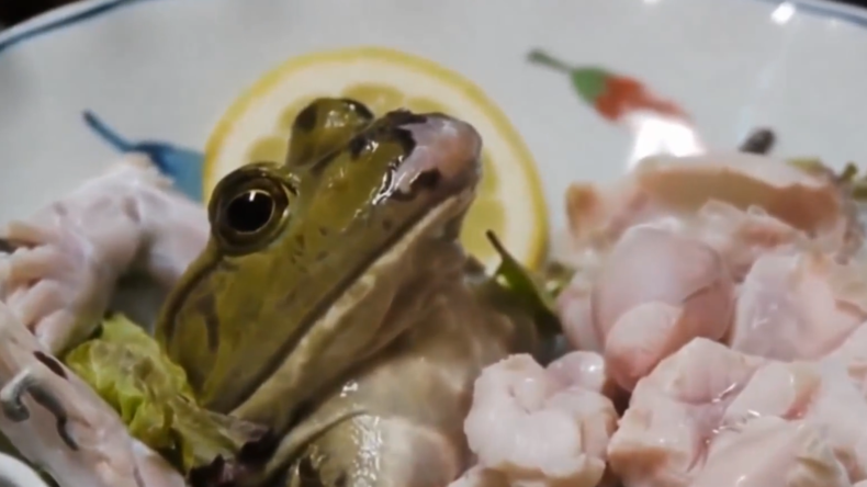 Nichts für schwache Nerven: Fisch und Frosch mal anders serviert und gegessen (18+)