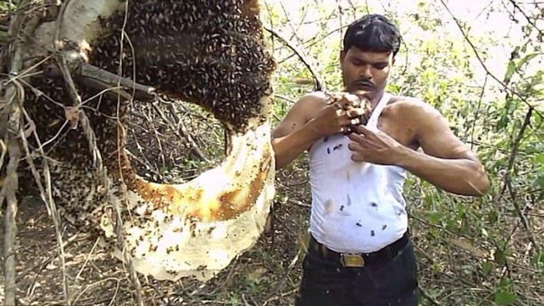 Imker bringt Tausende Bienen unter sein T-Shirt und lächelt nur