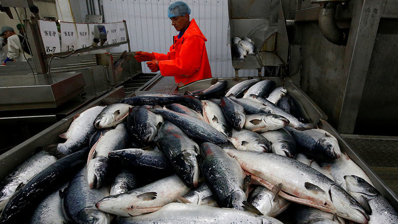 Nach Verlust des russischen Marktes: Norwegen verliert eine Milliarde US-Dollar bei Fischexport